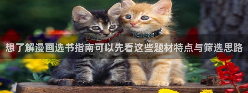 漫画岛在线看漫画
